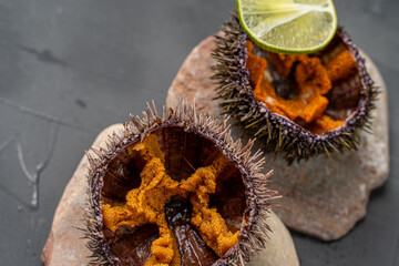 Raw Sea Urchins in Shell with Lime on Sea Rocks on Gray Background. Copyspace