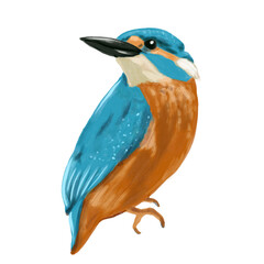 Beautiful blue bird perched on a leafy branch, Digital watercolor illustration