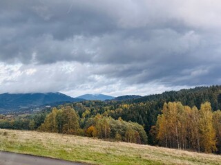 autumn landscape in the mountains, A distant mountain fades into the mist as it settles, while a bright yellow forest lines the road in the foreground. Perfect for capturing autumn beauty and scenic t