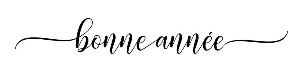 Bonne Année – Happy New Year French language, Calligraphy brush text banner with transparent background