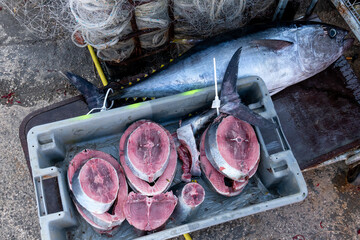fresh red tuna slices