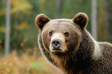 Fototapeta premium Generated with AI technology picture of animal in nature