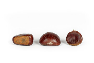 chestnuts isolated on white background 