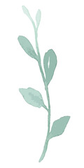 Green plant botanical transparent png watercolor sticker