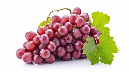 Fototapeta premium Vibrant Red Grapes Among Lush Green Leaves: A Breathtaking Composition on a White Background