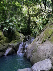 Bassin Bleu in Gourbeyre, Guadeloupe. Refreshing natural blue pond in the rainforest in caribbean...