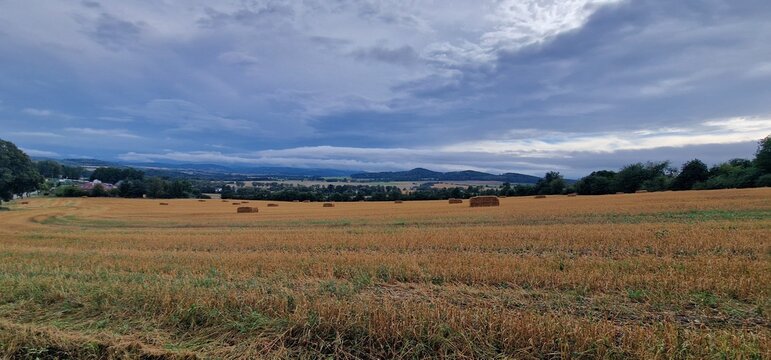 landscape of bohemian countryside bavorov freshly cut  crops and yellow field - Powered by Adobe