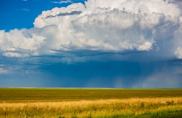 Obraz premium The endless steppes of Kazakhstan in the Akmola, Petropavlovsk and Kostanay regions. August, 2024.