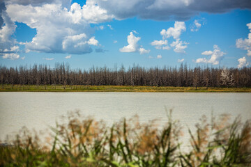 Kazakh lakes in Kostanay region. August 2024.