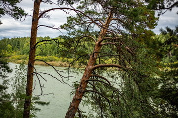 Fototapeta premium Suburbs of Tyumen, view from the Gilevskaya Roshcha park, August 2024.