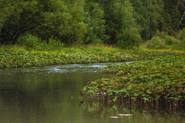 Picturesque nature of the Urals