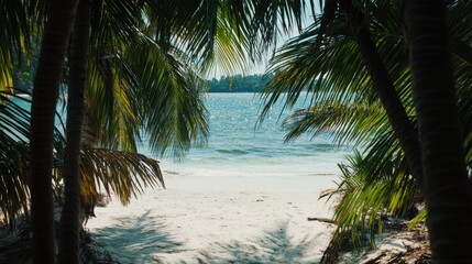 A detailed shot of palm trees framing the white sands of a secluded Thai beach