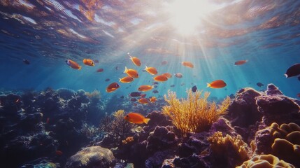 Obraz premium A detailed underwater shot of a coral reef, with colorful fish swimming around and sunlight filtering through the water.