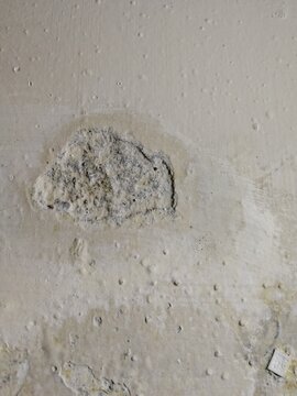 Damaged peeling paint on the interior wall due to water leakage. Cracked color paint background for reference, example, sample etc. Usually this condition happens when wall is wet or old