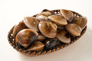 Raw fresh clams seafood in a sieve on white table background.
