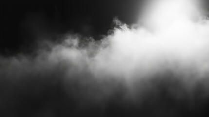 Fototapeta premium Ethereal Mist: A Captivating Monochromatic Landscape