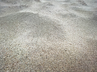 loose white sand on the bank of a river in a sand quarry