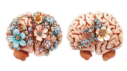 Colorful Flowered Human Brains on Transparent Background Generative AI