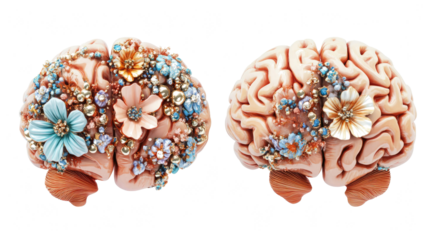 Colorful Flowered Human Brains on Transparent Background Generative AI