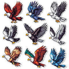 Collection of Feathers in Bright Colors