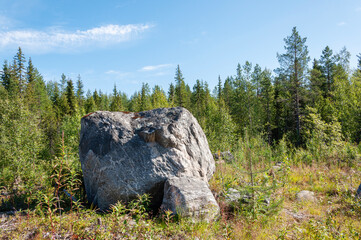 Large grey boulder on the edge of the forest in northern Russia, Murmansk region