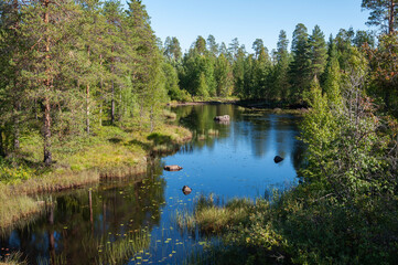 Small lake with boulders in Karelia, Russia. Sunny summer day