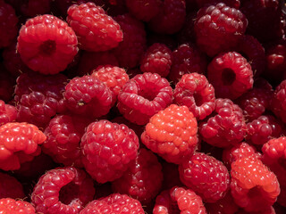 Close-up of a small wooden basket with ripe red raspberries (Rubus idaeus) harvested from backyard garden. Homegrown food