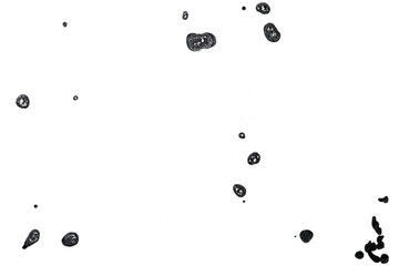 Ink splatter png overlay, transparent background