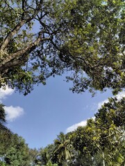 The beautiful environment 