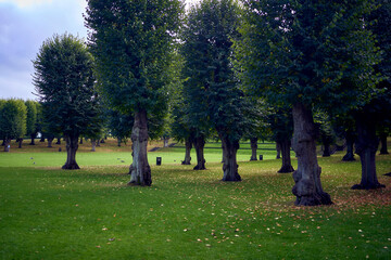 Copenhagen Frederiksberg Park Early Autumn