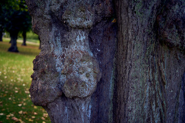 Copenhagen Frederiksberg Park Early Autumn