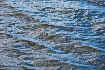 Fishing on a float fishing rod