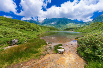 ミドリガ池の風景