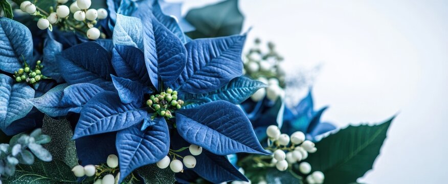 The Blue Poinsettia Arrangement