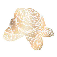 Shiny golden rose flower sticker overlay with a white border design element