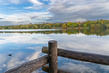Vibrant Autumn Trees Turning Orange and Yellow by Max-Eyth Lake in Stuttgart