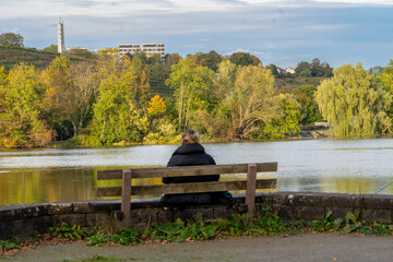 Vibrant Autumn Trees Turning Orange and Yellow by Max-Eyth Lake in Stuttgart