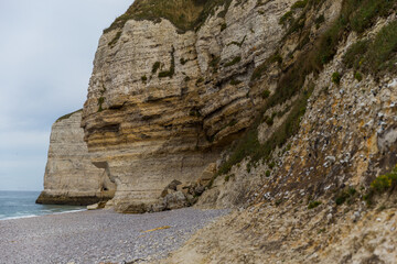 rocks on the beach