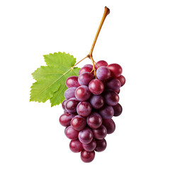 Fototapeta premium 투명배경 위의 포도 오브젝트, PNG파일