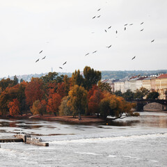 View on the autumn Prague on a River Vltava from the Charles bridge 