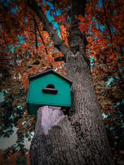 A green birdhouse is perched on a tree branch. The birdhouse is small and green, and it is sitting on a tree branch. The tree is full of leaves, and the leaves are orange. The image has a peaceful