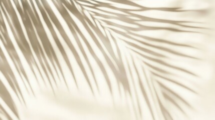 Obraz premium Soft Shadows of Palm Leaves on Light Background