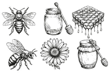 A drawing of a bee, a jar, and a honeycomb. The jar is filled with honey