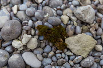 pebbles on the beach