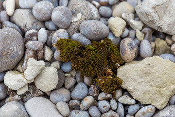 stones on the beach