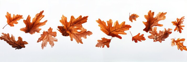 Obraz premium Colorful autumn leaves dancing in the air amid a serene forest background during a misty morning