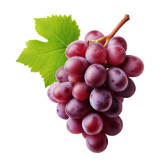 Fototapeta premium 투명배경 위의 포도 오브젝트, PNG파일