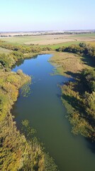 Naklejka premium Aerial view of a serene river winding through lush green fields and vibrant vegetation