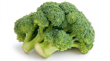 Fresh Broccoli on White Background