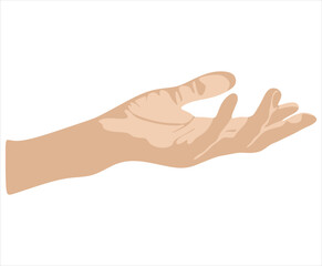 Upward facing female hand vector illustration isolated on white background. Female open palm up in receiving or holding, showing, presenting product business concept. 